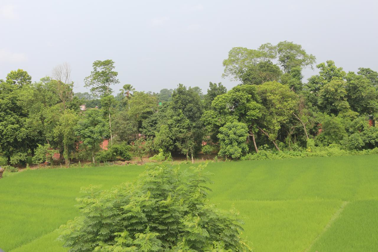 Tiger Corner Inn Homestay Sauraha Εξωτερικό φωτογραφία