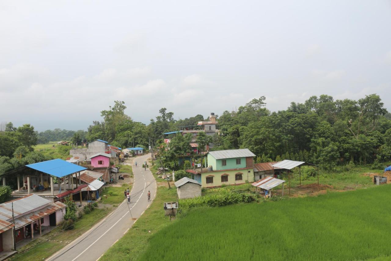 Tiger Corner Inn Homestay Sauraha Εξωτερικό φωτογραφία