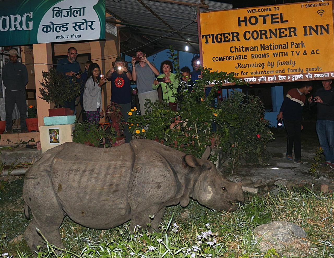 Tiger Corner Inn Homestay Sauraha Εξωτερικό φωτογραφία